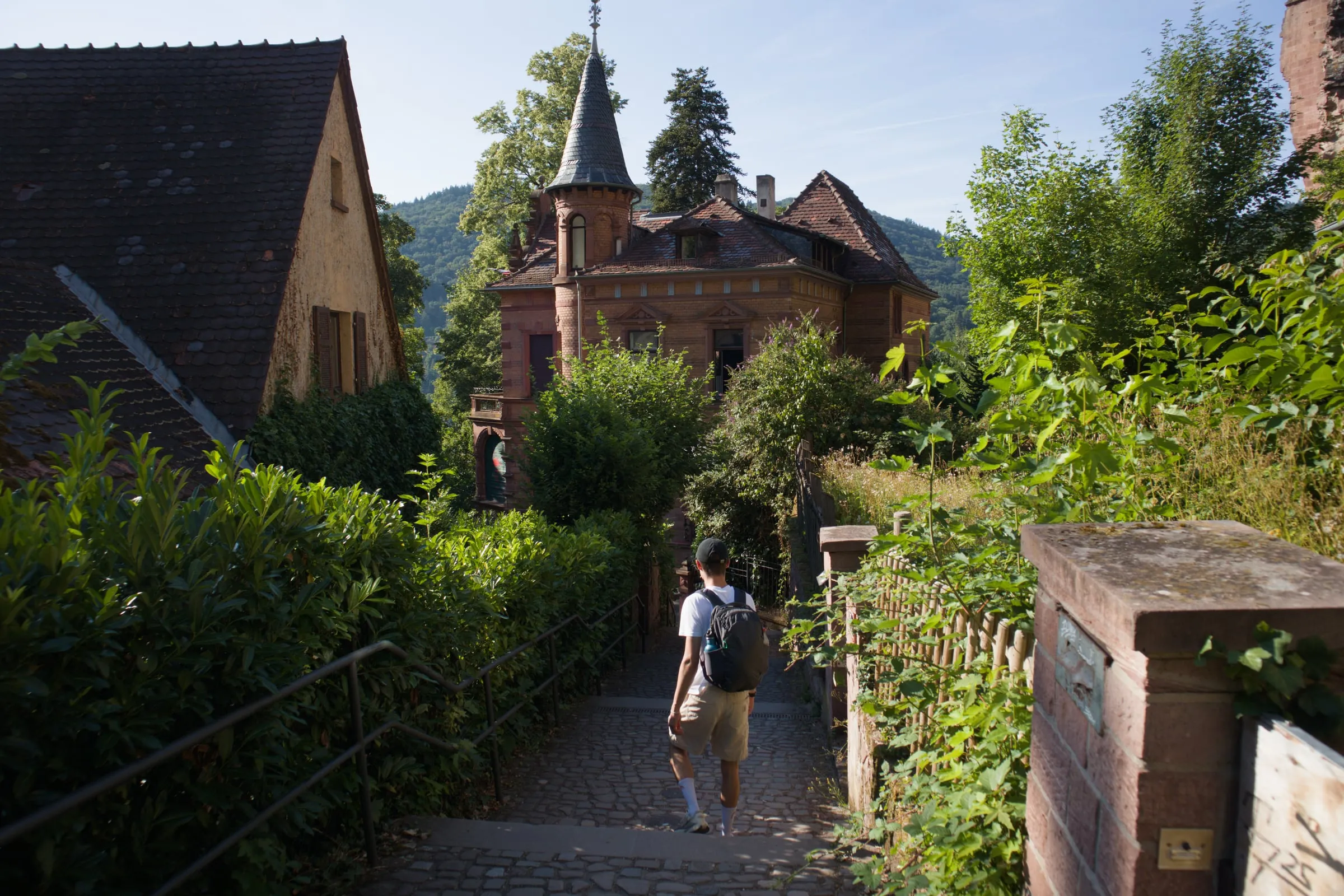 Sunset light illuminating the terracotta roofs of Heidelberg